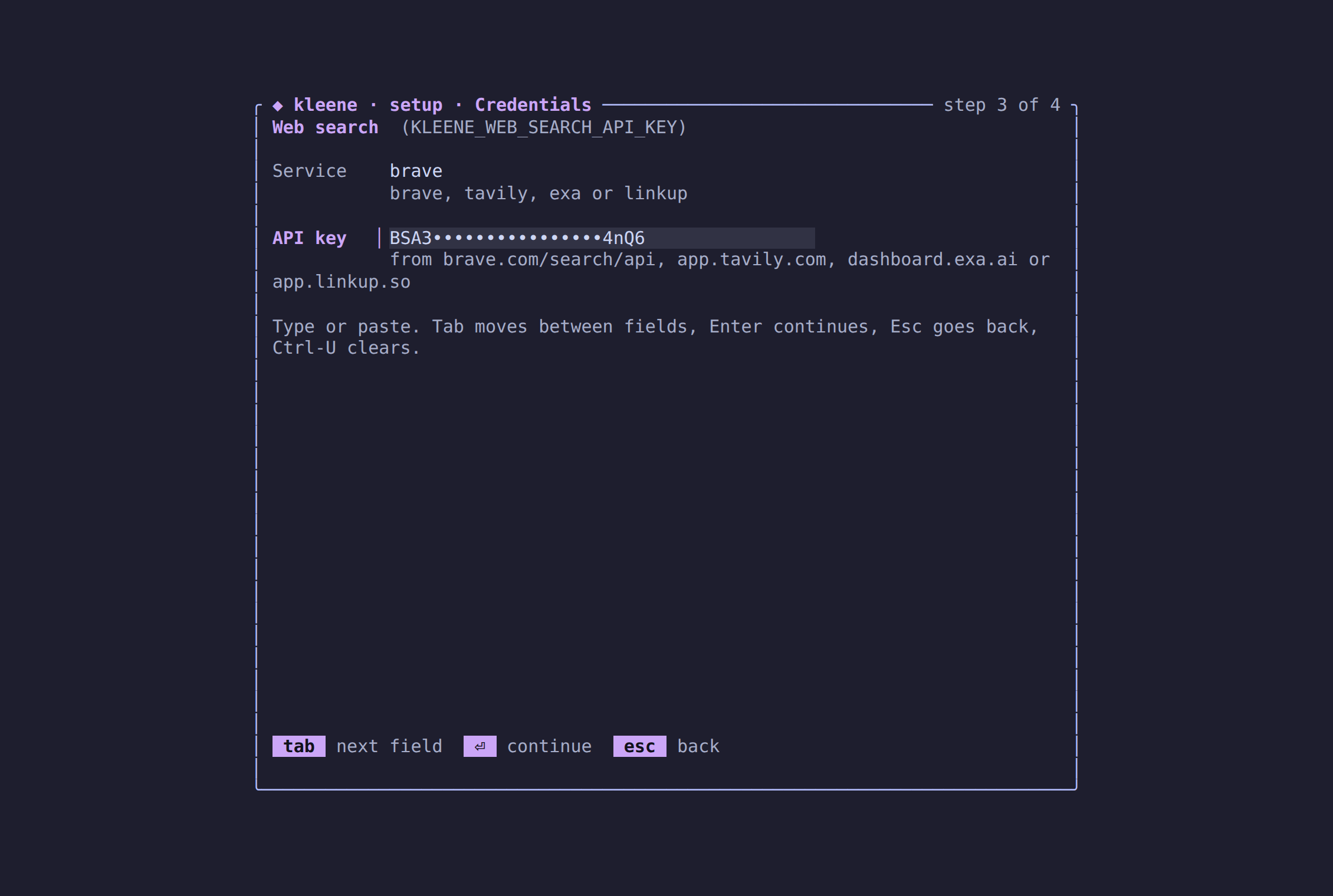 The web search page of the setup wizard